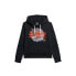 SUPERDRY Tokyo Vl Graphic hoodie