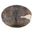 Фото #1 товара Terre Shaman Drum Goat Skin 60cm