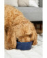 Dog Simple Solid Bowl Light Grey - Medium