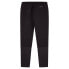 Фото #4 товара HACKETT Aston Martin Storm joggers