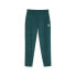 Puma Classics Fleece Sweatpants Womens Green Casual Athletic Bottoms 62141443