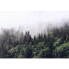 Фото #1 товара Обои A.S. Création Фототапета Туманный лес
