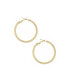 ფოტო #1 პროდუქტის Spotlight 18K Gold Plated Hoop Earrings