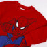 CERDA GROUP Cotton Brushed Spiderman Track Suit