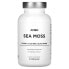 Amen, Sea Moss + Vitamin C, Aloe Vera & Black Pepper, 90 Vegetable Capsules