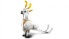 Фото #13 товара LEGO Creator 3-in-1 31133 Das weie Kaninchen mit tierischen Figurenfischen, Dichtungen und Papageien