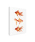 Фото #2 товара Emma Scarvey Ornamental Goldfish III Canvas Art - 19.5" x 26"