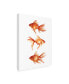 Emma Scarvey Ornamental Goldfish III Canvas Art - 19.5" x 26"