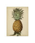 Фото #1 товара George Brookshaw Brookshaw Antique Pineapple I Canvas Art - 36.5" x 48"