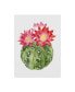 Grace Popp Cactus Bloom III Canvas Art - 20" x 25"
