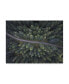 Фото #1 товара Christian Lindsten Small Road Through the Forest Canvas Art - 20" x 25"