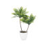 Фото #3 товара Декоративное растение Пальмовое Пластик 36 x 55,5 x 24 cm (6 штук)