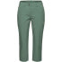 Фото #3 товара MAMMUT Runbold Capri Pants