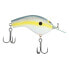 Shimano Sexy Shad MACBETH FLAT Crankbait (MB57FXS) Fishing