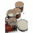 Pearl Decade M. 6pcs Shell Pack S.BR