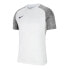 Фото #1 товара Nike Dri-FIT Strike II M CW3544-100 T-shirt