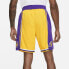 Брюки Nike NBA Icon Edition SW AJ5617-728