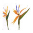 Фото #2 товара Декоративное растение Mica Decorations (60 x 110 cm)
