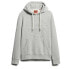 Фото #1 товара SUPERDRY Embossed Logo Graphic hoodie