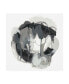Фото #1 товара June Erica Vess Obsidian Arc II Canvas Art - 15" x 20"