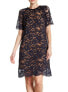 Фото #1 товара ABS Collection 154149 Women's Short Sleeve Lace Dress Crew Neck Navy/Tan Sz. 4