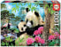 Фото #2 товара EDUCA BORRAS Puzzle 1000 Pieces Panda Bears