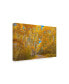 Фото #2 товара Darren White Photography Colors of Fall Photograph Canvas Art - 15.5" x 21"