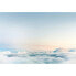 Фото #1 товара Fototapete Over the Clouds