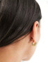 Orelia 18k gold plated tapered dome twist hoop earrings