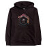 Фото #2 товара BILLABONG Access PO hoodie