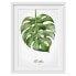 Фото #1 товара Bild Aquarell Botanik Monstera II