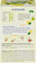 Фото #6 товара Früchtetee "Dein Glücksmoment" mit Basilikum, Zitrone & süße Brombeerblätter (20 Beutel), 44 g