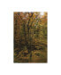 Фото #1 товара Kurt Shaffer Photographs Sunlight in a November Forest Canvas Art - 27" x 33.5"
