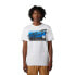 ფოტო #1 პროდუქტის FOX RACING LFS Foyl Pro Circuit Premium short sleeve T-shirt
