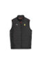 Фото #3 товара Erkek Ferrari Günlük Yelek Ferrari Race Padded Vest Black 62093901