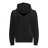 ONLY & SONS Connor Reg hoodie