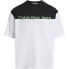 ფოტო #1 პროდუქტის CALVIN KLEIN JEANS Institutional Colorblo short sleeve T-shirt