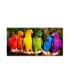Фото #1 товара Mike Jones Photo 'Rainbow Parrots' Canvas Art - 10" x 19" x 2"