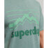 Фото #3 товара SUPERDRY Vintage 90S Terrain Mw T-shirt