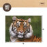 Фото #5 товара COLOR BABY Save The Planet Tigger Puzzle 500 Pieces