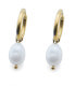 Volition Freedom 23105G Pearl Hoop Earrings