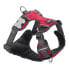 Фото #2 товара RED DINGO Acolchado Harness