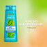 Фото #2 товара Fructis Antidandruff Cleansing Shampoo for All Hair Types with Dandruff (Re-Oxygen Shampoo)