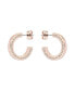 ფოტო #1 პროდუქტის SENATTA: Crystal Hoop Earrings For Women