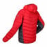 Фото #4 товара Мужская спортивная куртка Regatta Harrock Красная