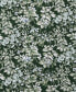 Bramble Floral Cotton Reversible 7 Piece Duvet Cover Set, King