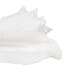 Decorative Figure White Snail 21 x 19 x 13 cm