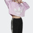 Фото #4 товара Толстовка женская adidas originals Cropped Hoodie 145 FM в фиолетовом цвете
