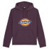 Фото #4 товара DICKIES Icon Logo hoodie