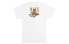 Фото #1 товара Nike SB Skate T-Shirt 背后狮身人面像 球鞋滑板圆领短袖T恤 男款 白色 / Футболка Nike SB Skate T-Shirt T CU0297-100